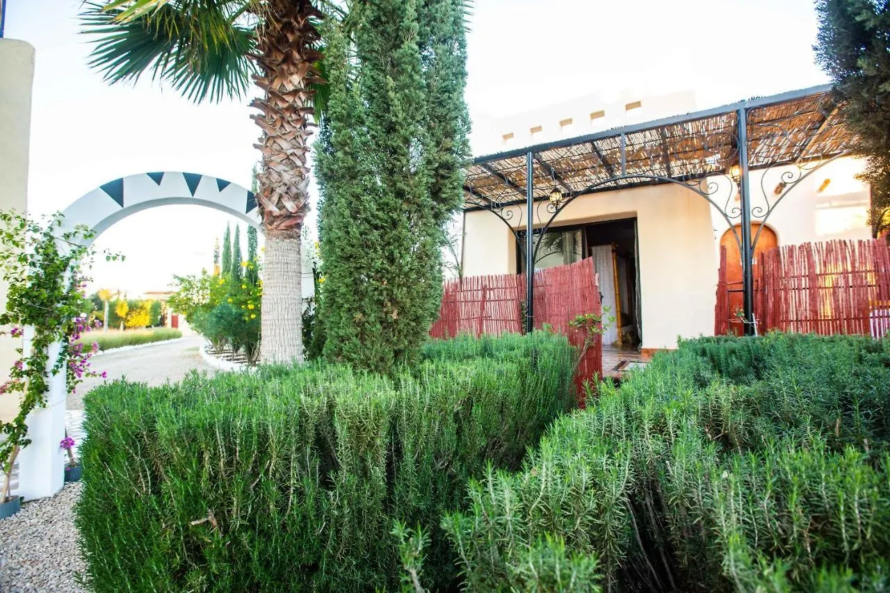 Maison Kasba Bonheur & Bien Etre Emma & Gilles Essaouira Guest house